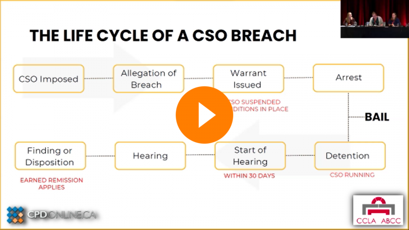 How to Handle Conditional Sentence Breach Hearings; Taking Care of Yourself: Wellness for Lawyers