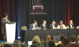 The Professionalism Panel