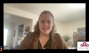 Race Against Time and Passing the Batton: When does the race start, Grant Thornton SCC Limitations