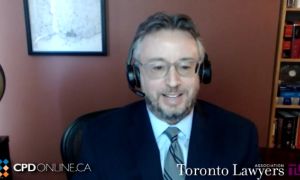 Excelling at Mediation Advocacy: 2.0 - A Master Class for Junior- to Mid-Career Lawyers