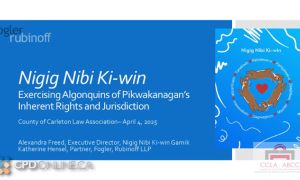 Nigig Nibi Ki-win: Algonquins of Pikwakanagan First Nation’s Child Wellbeing Law