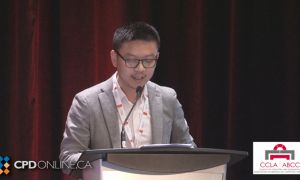 CCLA 34th Annual Institute of Family Law Conference ‘Snappers’