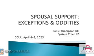 Spousal Support: SSAG Exceptions and Oddities
