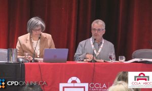 CCLA 34th Annual Institute of Family Law Conference: The Year in Review 
