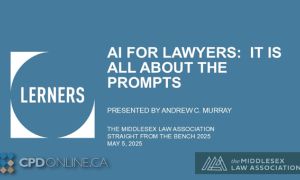 AI for Lawyers: It is All About the Prompts