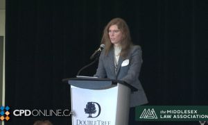 TWO PROGARMS: Criminal Evidence Primer: Lower Your Expectations - Reasonable Expectation of Privacy in the Age of Attard AND Employment Law Update