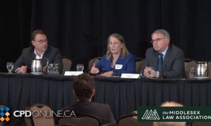 Fireside Chat: Courtroom Advocacy Best Practices