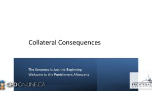 TWO PROGRAMS: Collateral Consequences: The Sentence is Just the Beginning, Welcome to the Punishment Afterparty AND AI: Interesting Possible Impacts on the Legal Landscape
