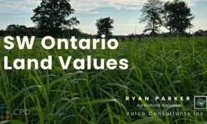 Real Estate Conference 2025