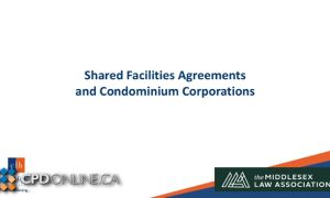 Shared Facilities Agreements in Real Estate: Condominiums and Mixed-Use