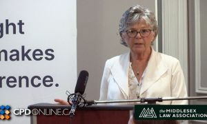 TWO PROGRAMS: What Inferences Can Be Used If there are Gaps in the Evidence AND Case Comment: Lucuta v. Stevens, 2025 ONSC 1576