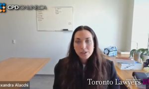 TLA 15th Annual Licensing Candidates Head Start - Part 3: A Partner and an Associate Telling It Like It Is