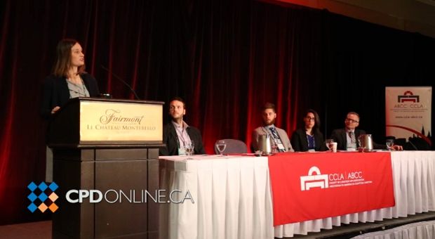 Year in Review: Estates, Employment, Corporate/Commercial